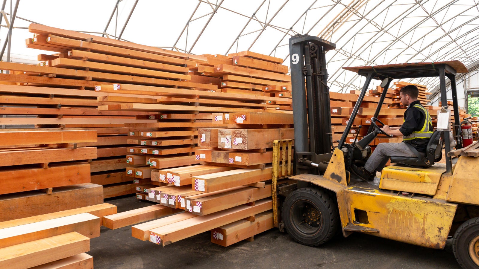 Person working in a lumberyard