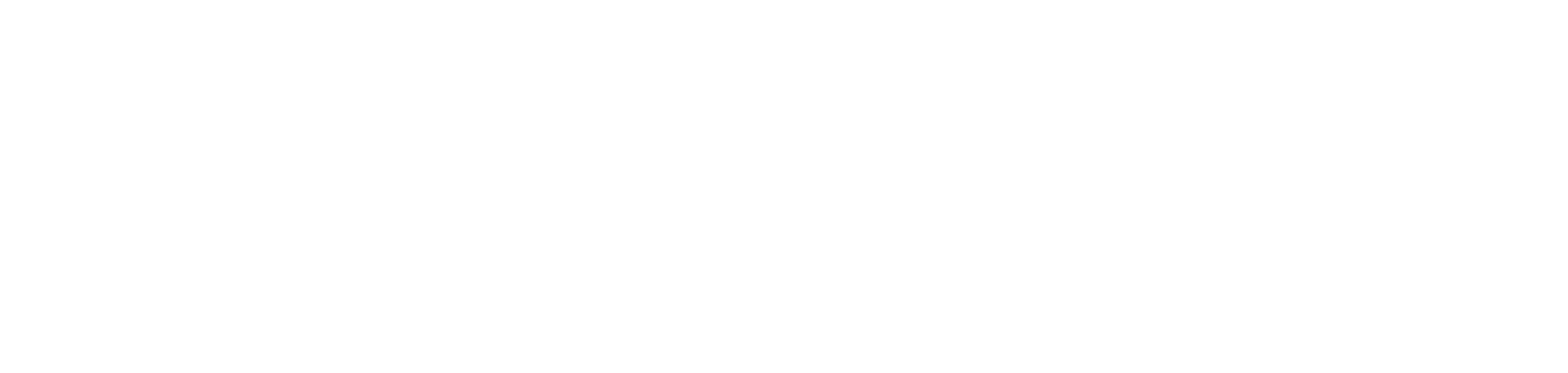 Penumbra logo white