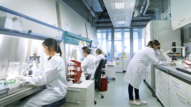 Scientists in a Bayer lab