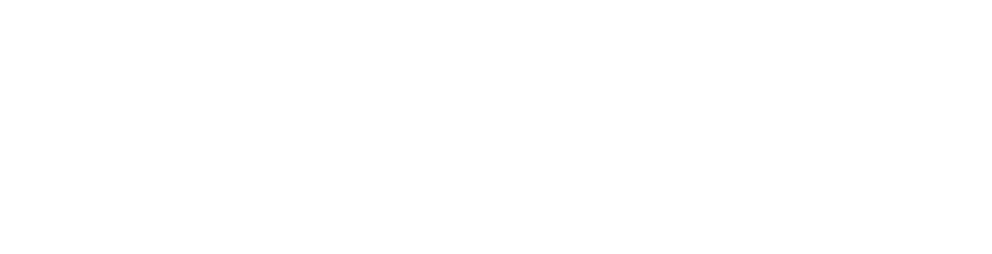 ACES Logo Light