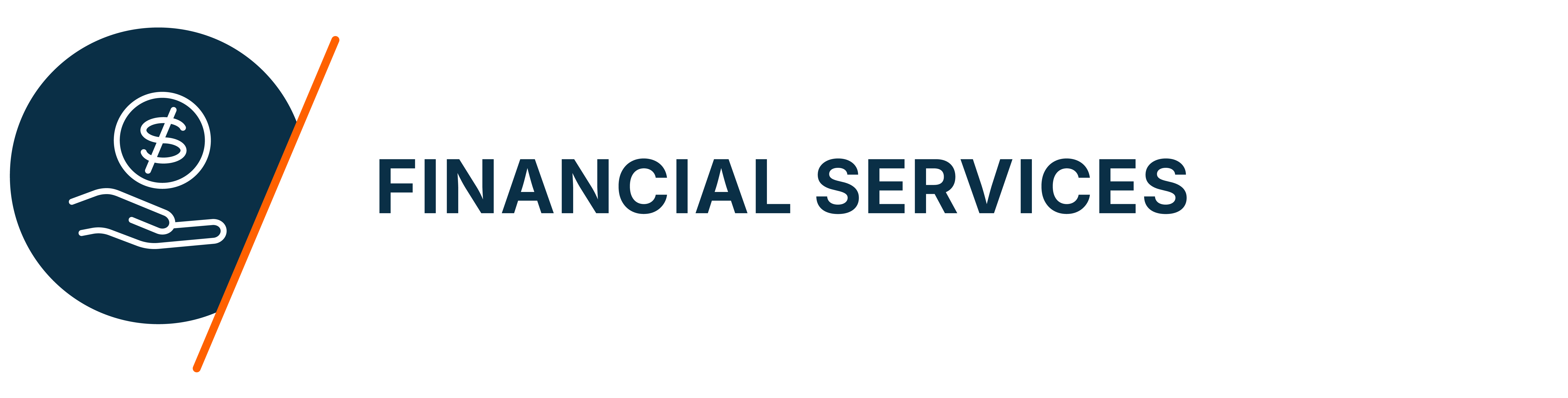 Financial Services Anonymous Logo
