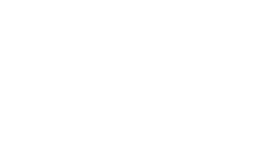 Lion Australia logo white