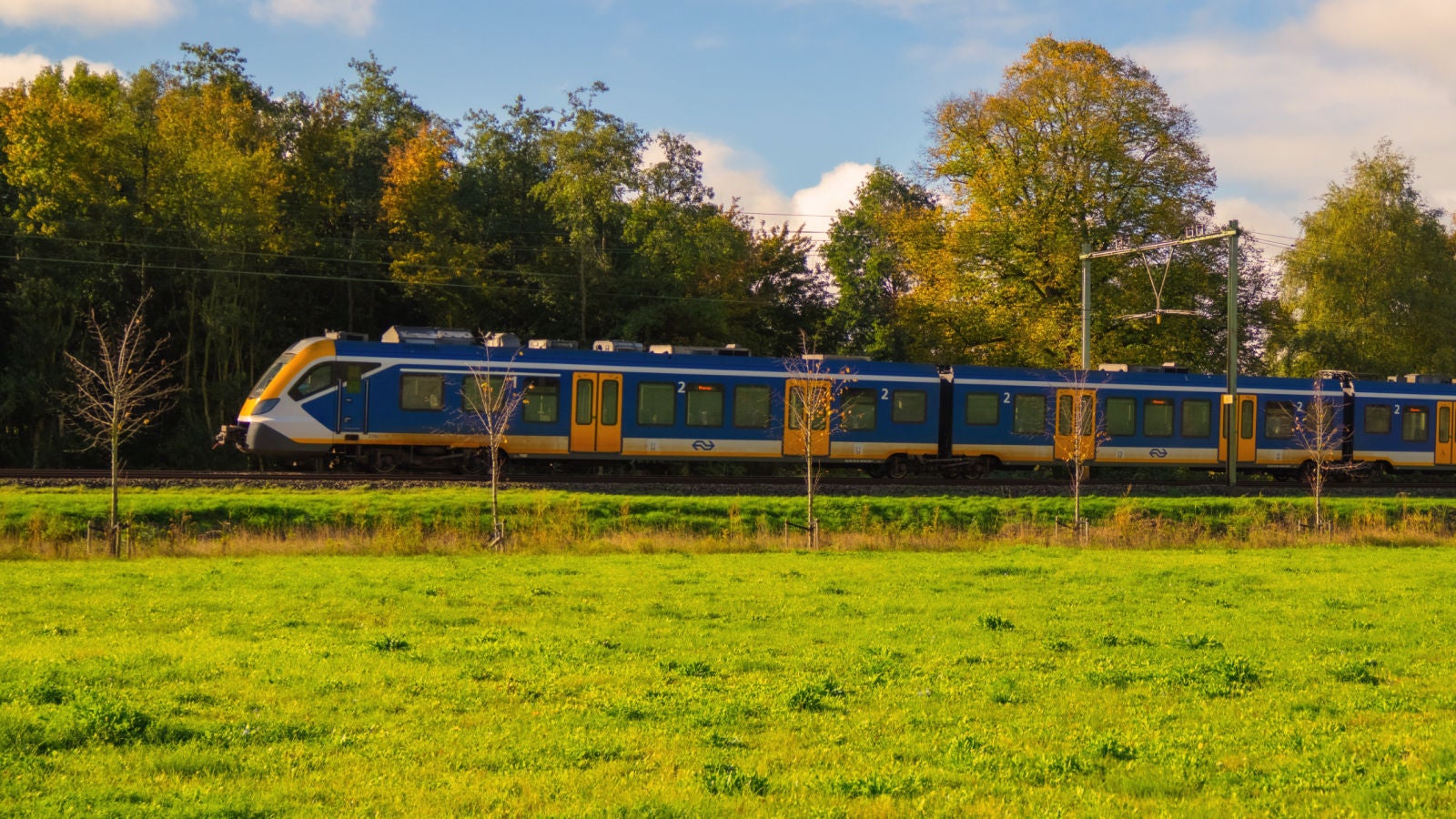 Blue-and-yellow passenger train traveling beside a green field and autumn trees.
