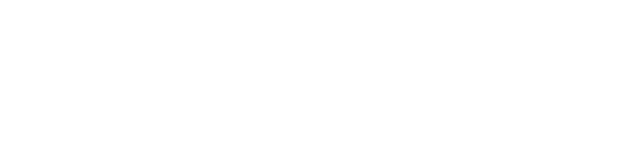 Brussels Airlines logo white