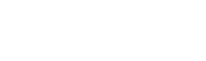 Mediclinic Group Logo Light