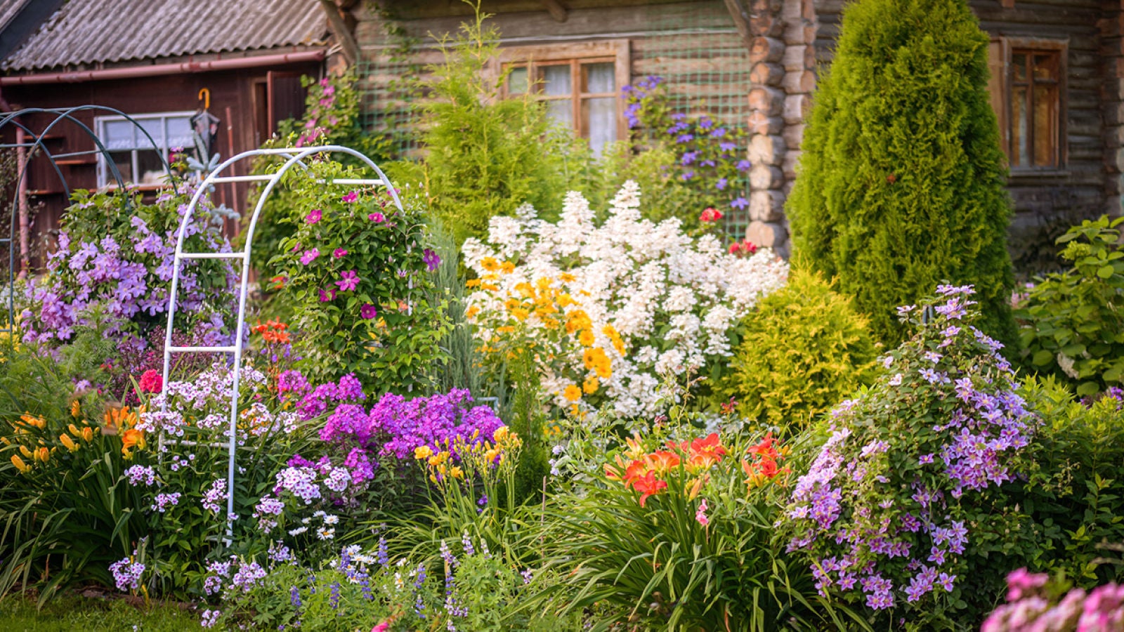 Colorful flower garden in front of a rustic wooden house.