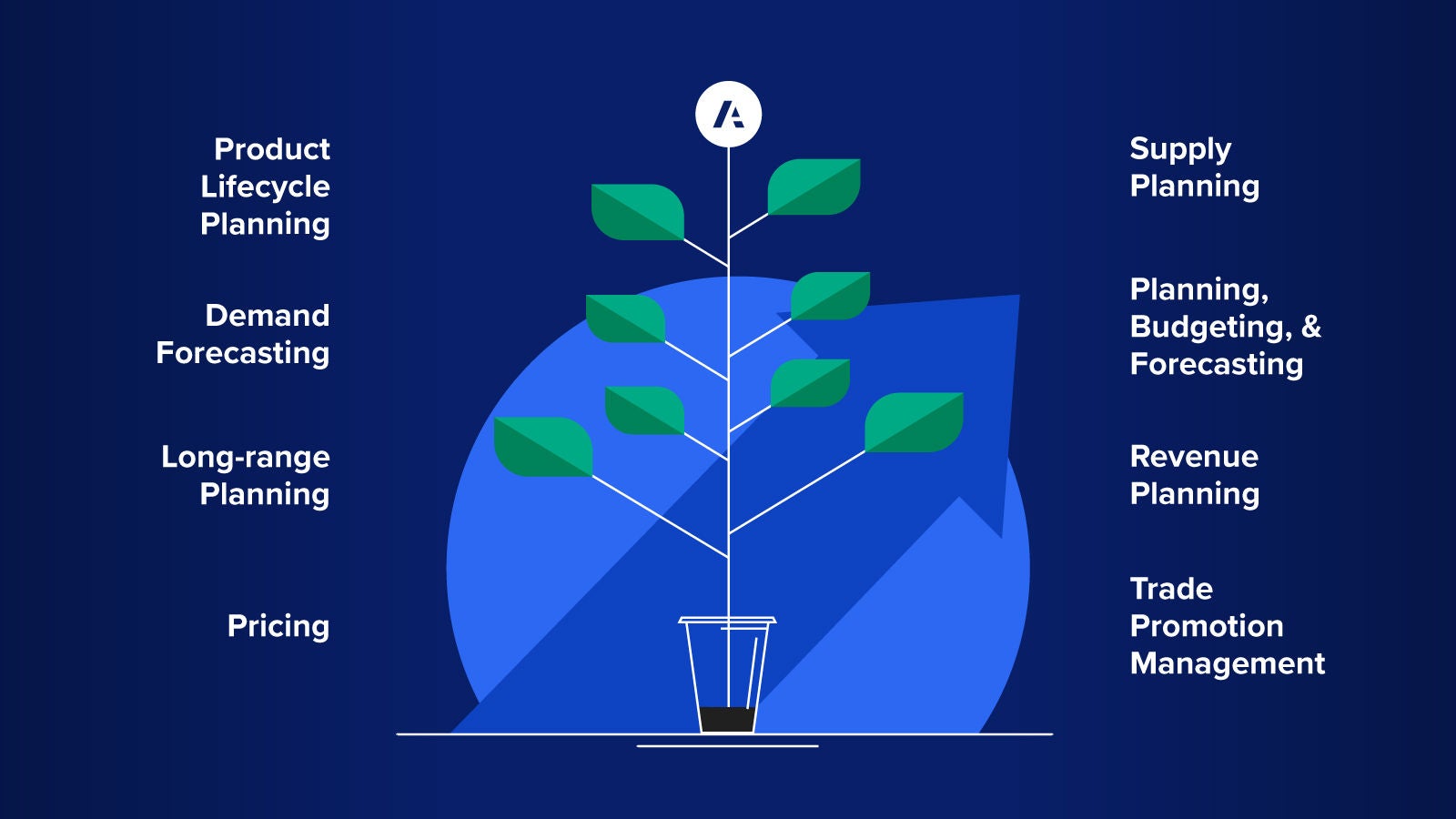 Grafik: Pflanzengrafik mit Anaplan-Logo