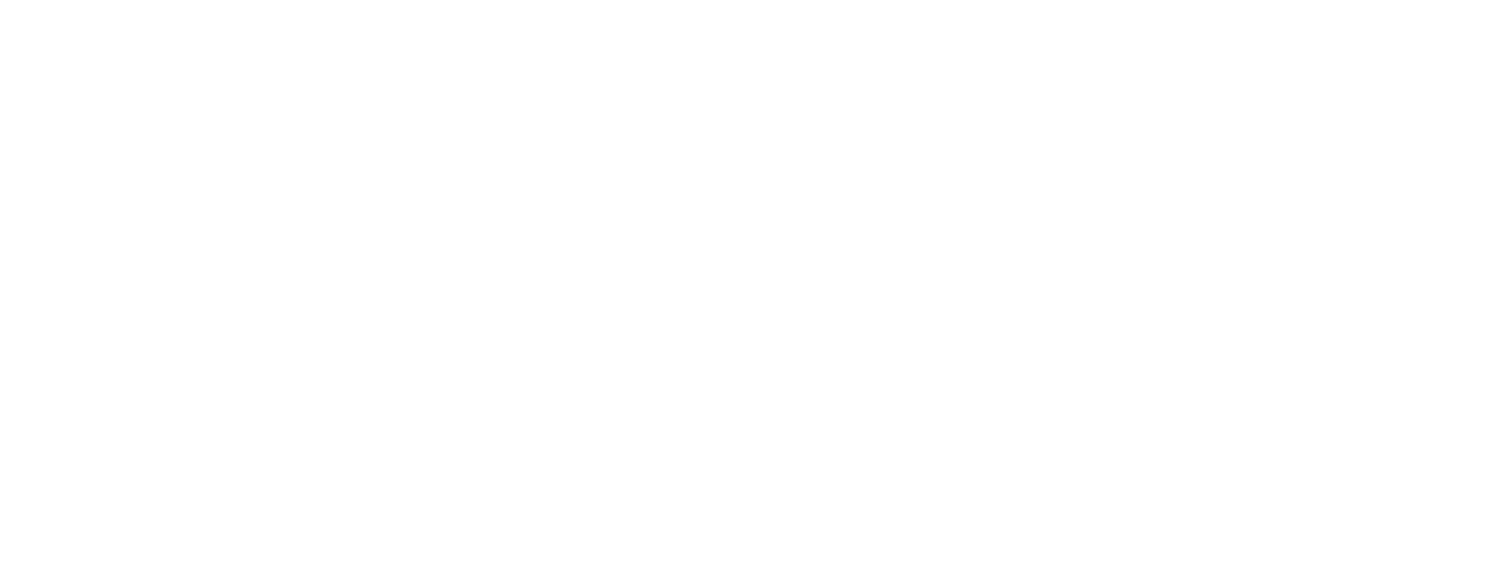 Anaplan White Logo