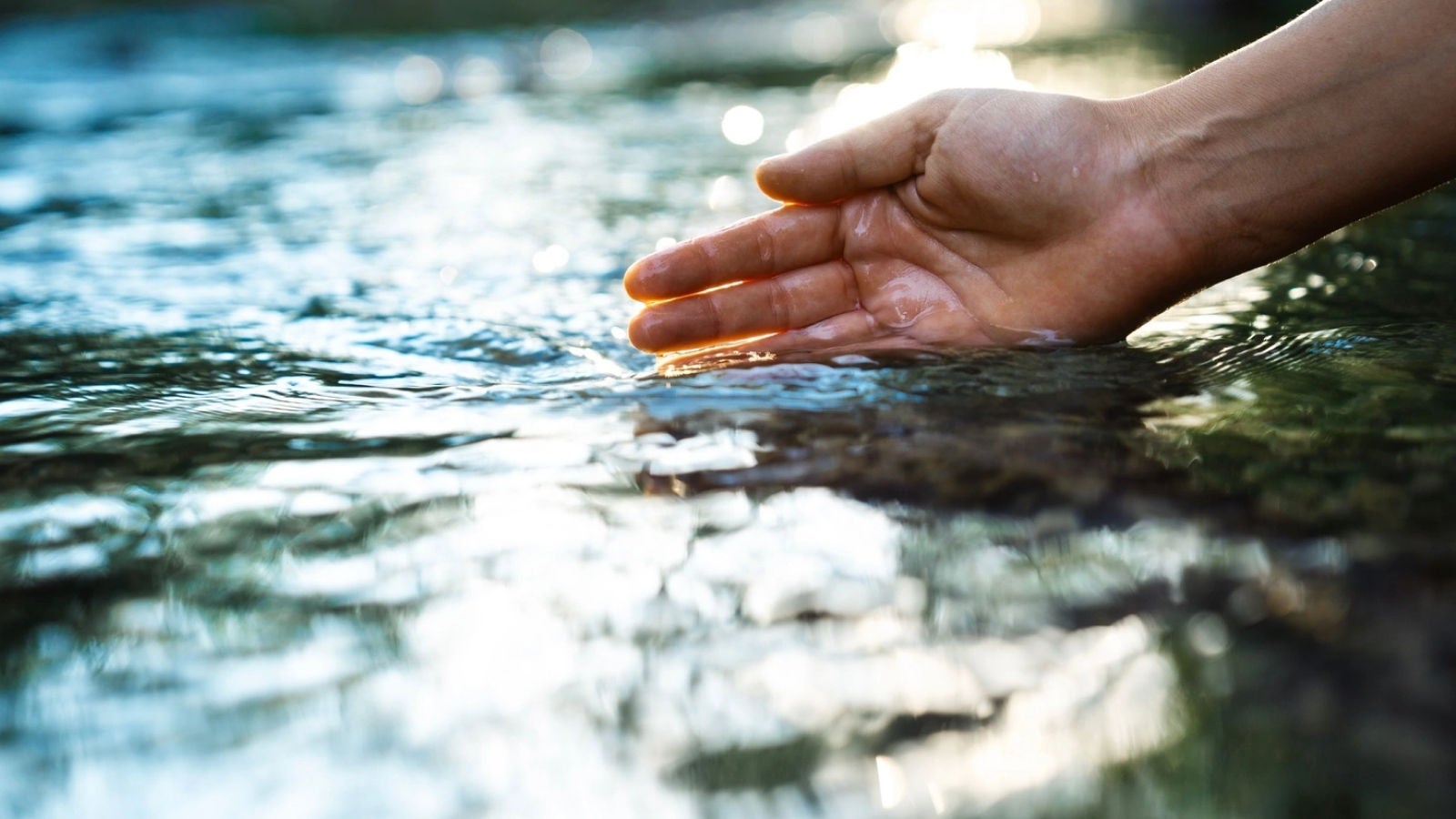 A hand touching the surface of flowing water in sunlight.