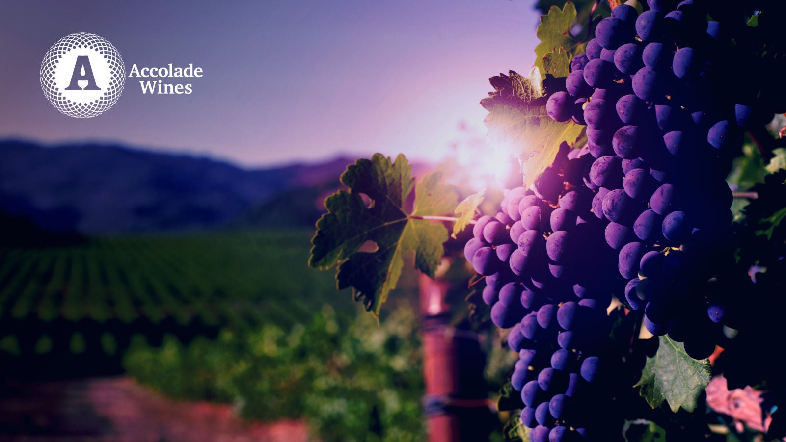 oneOff_TilesForNewsroom_Accolade