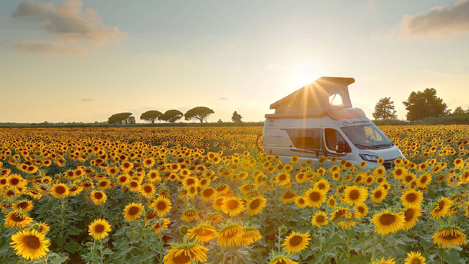 resources_customerStory_LippertComponents