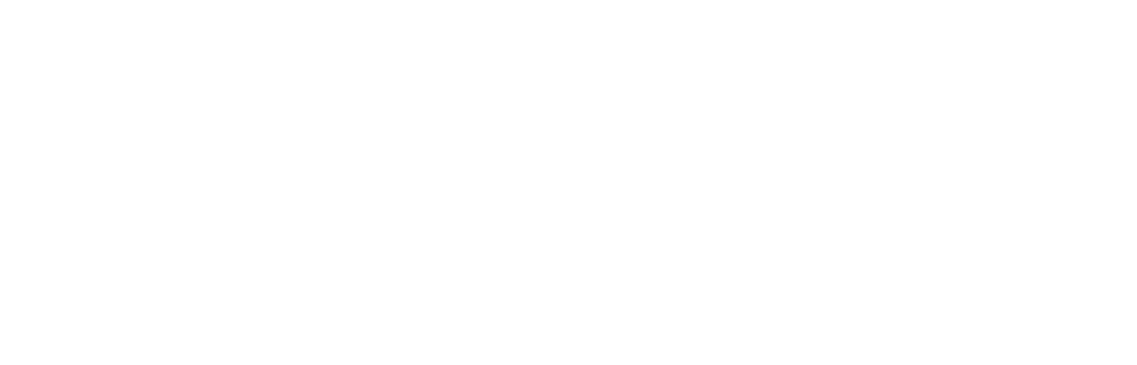 Nissan Customer Story Logo with Document Icon