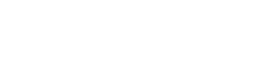 Wright Medical Logo Light
