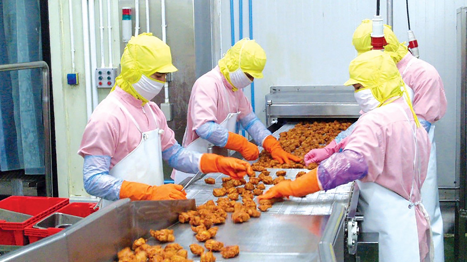 Ajinomoto Illustrative image 1 Ajinomoto workers sorting items on a conveyor belt