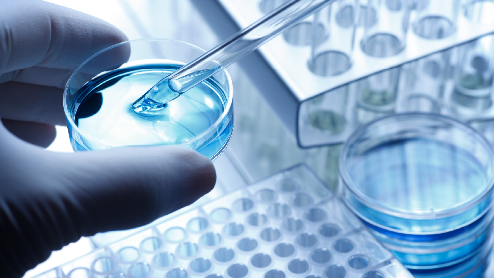 Novotech Customer Story Office Shot 2 Person extracting blue liquid from a petri dish