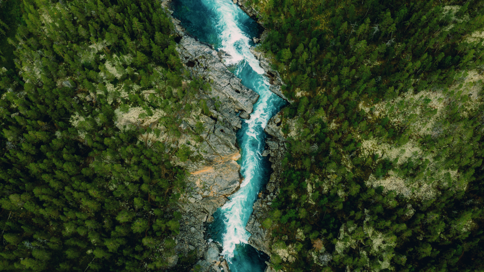 Aerial view of a blue river cutting through a dense green forest, symbolizing natural resources and environmental preservation.