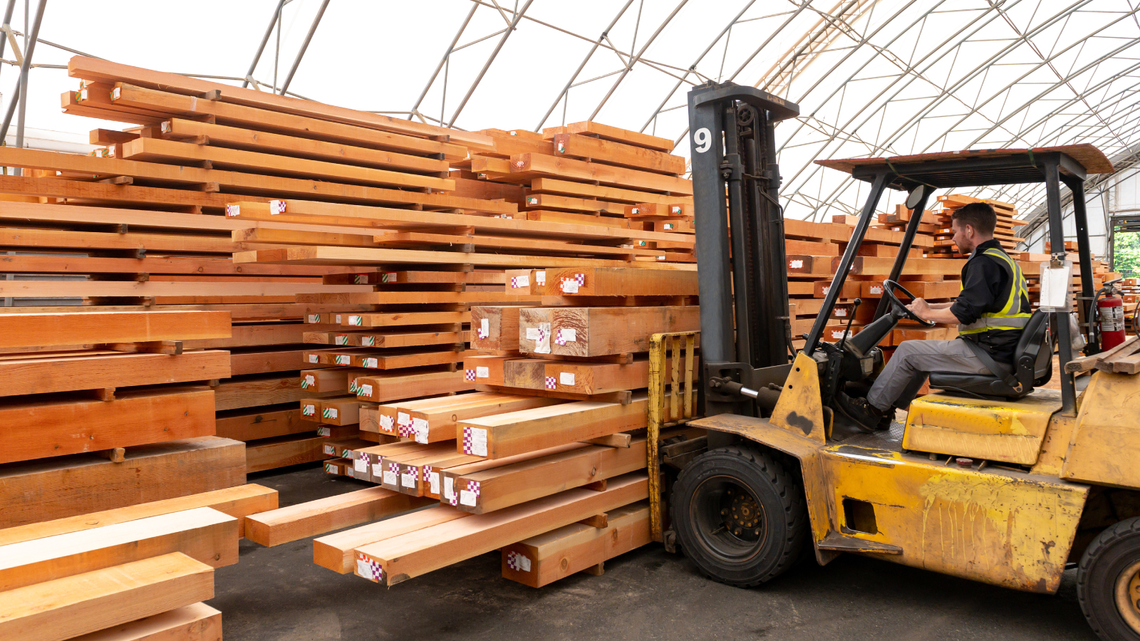 Roseburg Forest Products illustrative image 2 Person working in a lumberyard
