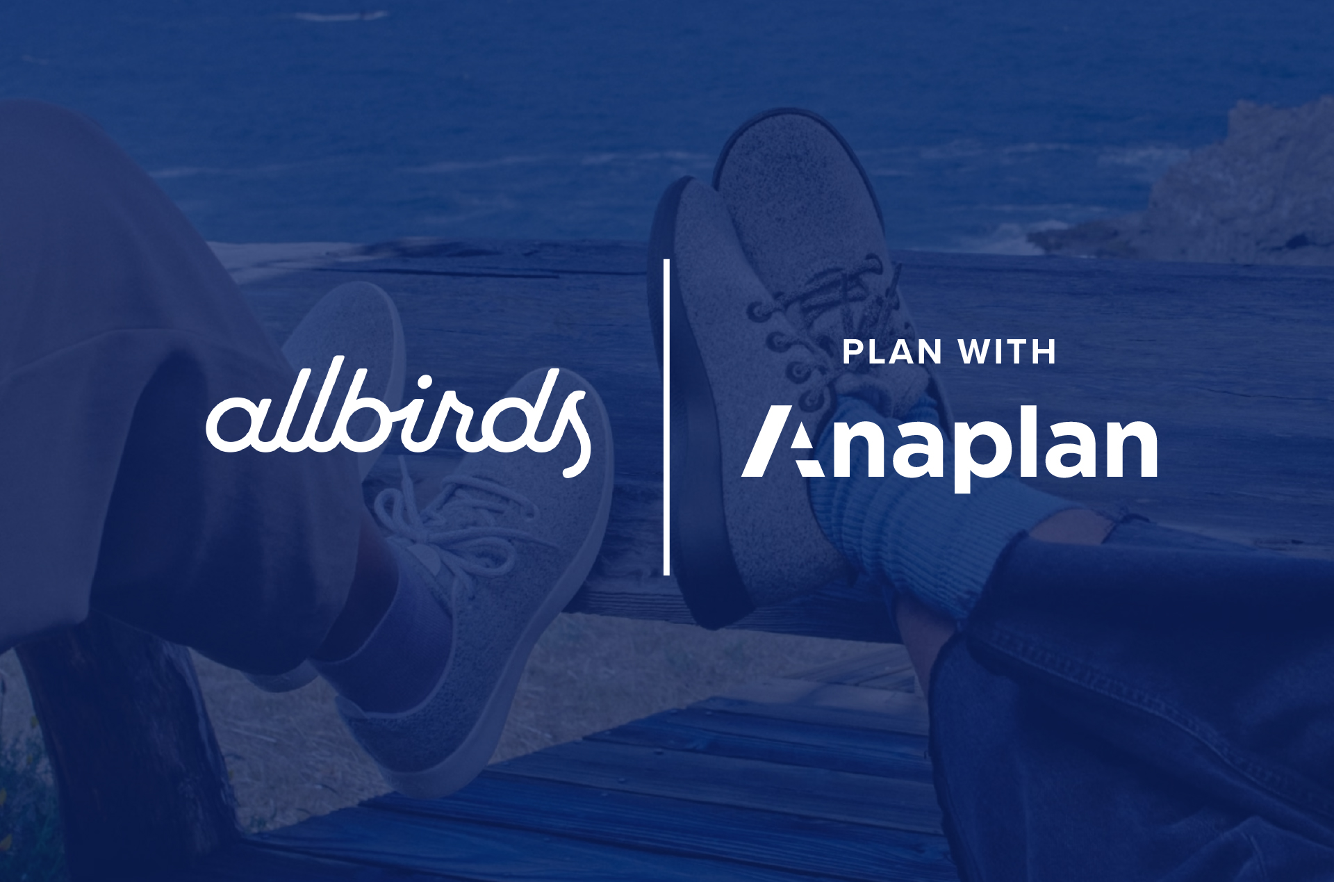 Allbirds partnerships deals