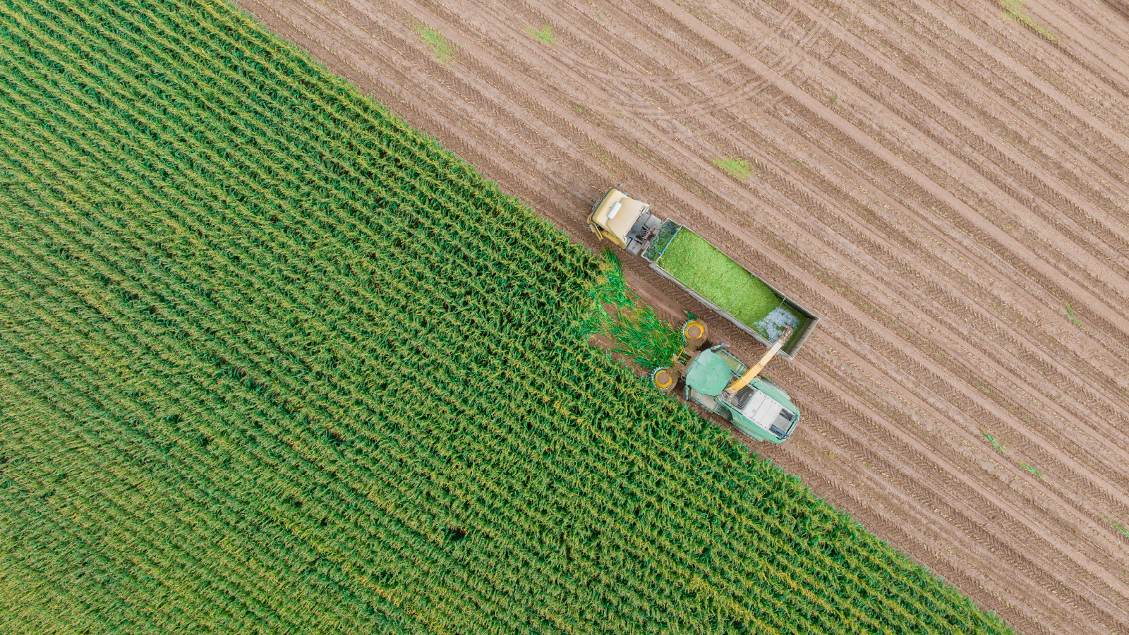 Aerial view of farm equipment harvesting a crop