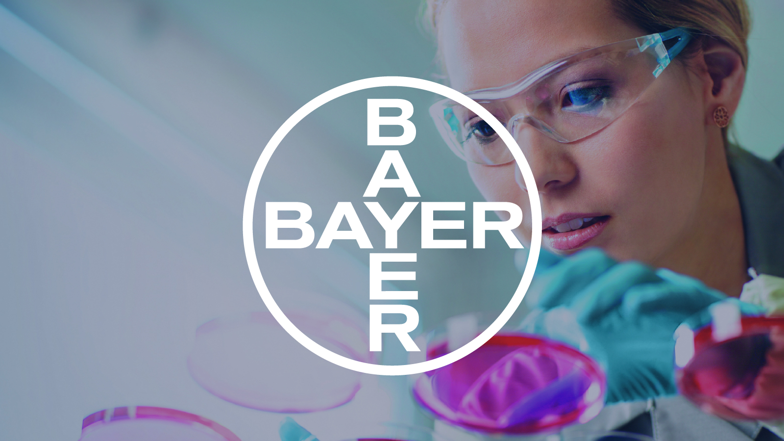 Graphic: Bayer logo over scientist working with a petri dish