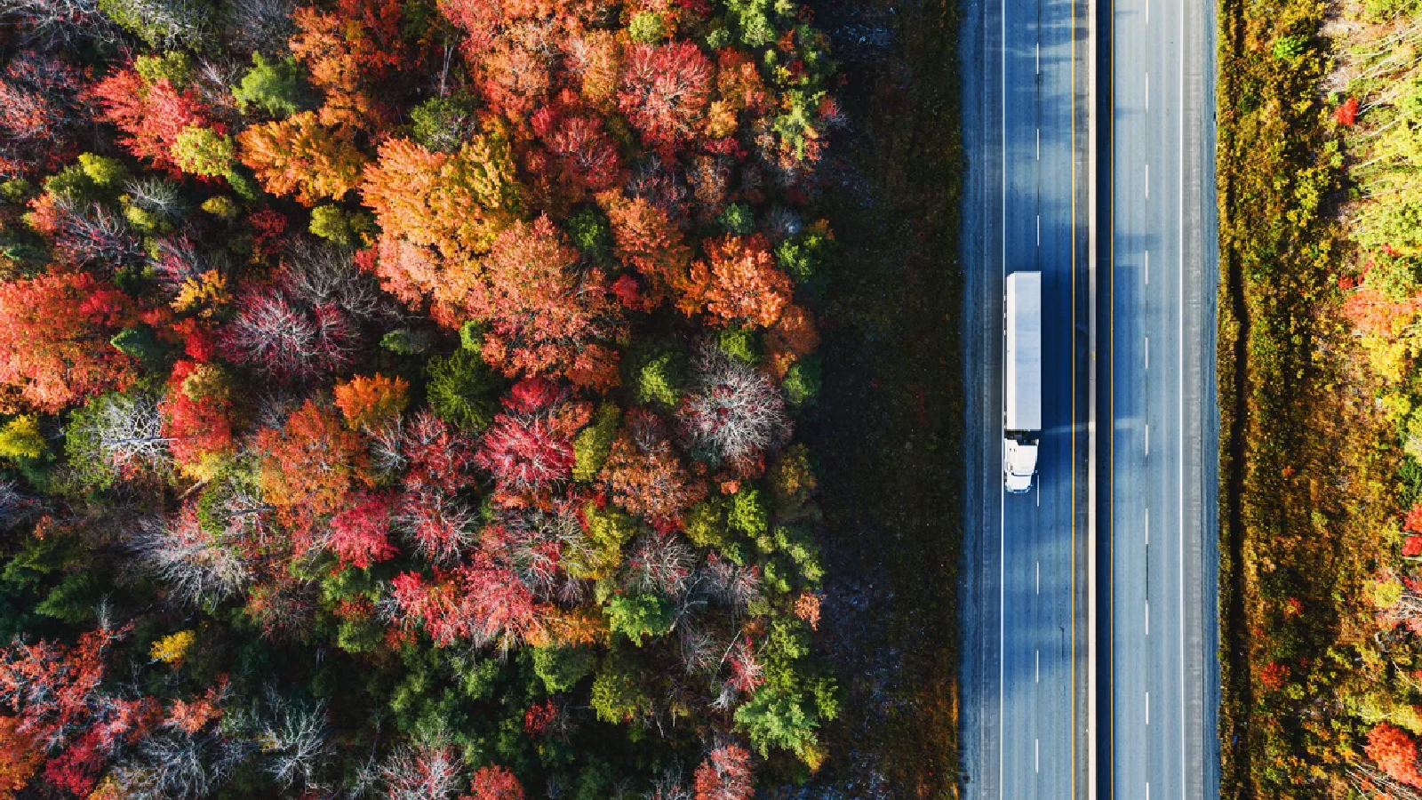 Michelin Customer Story Illustrative Image 1 Aerial view of a highway cutting through a forest of vibrant autumn foliage, with a white semi-truck driving along the road.