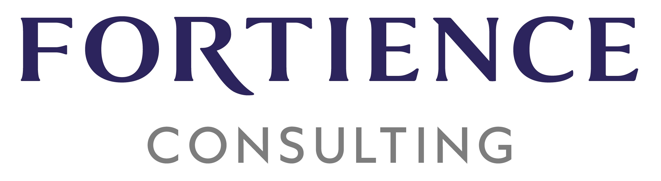 Fortience Consulting Logo