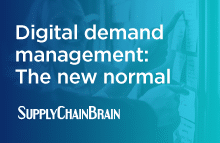 Supply Chain brain whitepaper