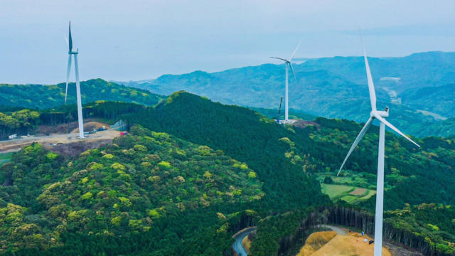 Vast green forrest with three wind turbines towering above the landscape