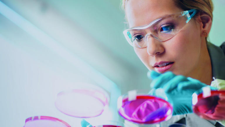 Female scientist examining petri dishes