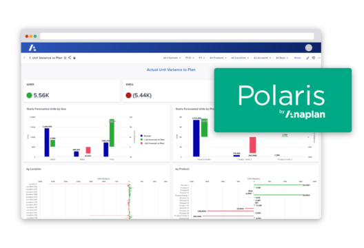 Anaplan Dashboad with label Polaris by Anaplan