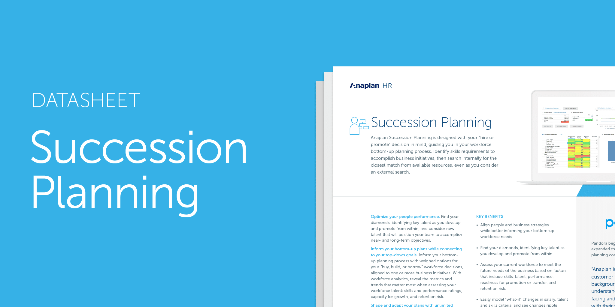succession planning anaplan succession planning process