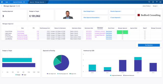 Bedford Consulting Anaplan chart on cash flow