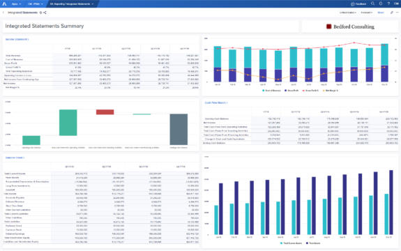 Bedford Consulting Anaplan chart on cash flow