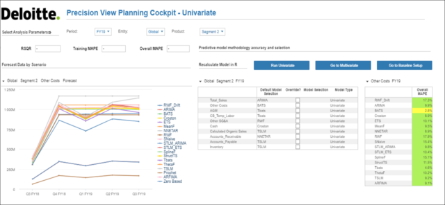 Deloitte screenshot of PrecisionView