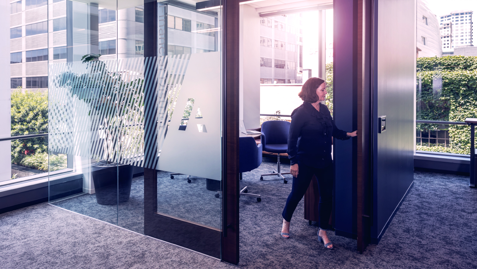 Anaplan image